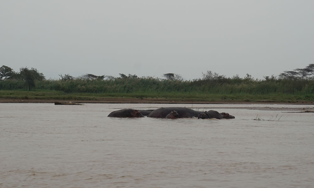 5 Days Wildlife Safari Tour in Burundi