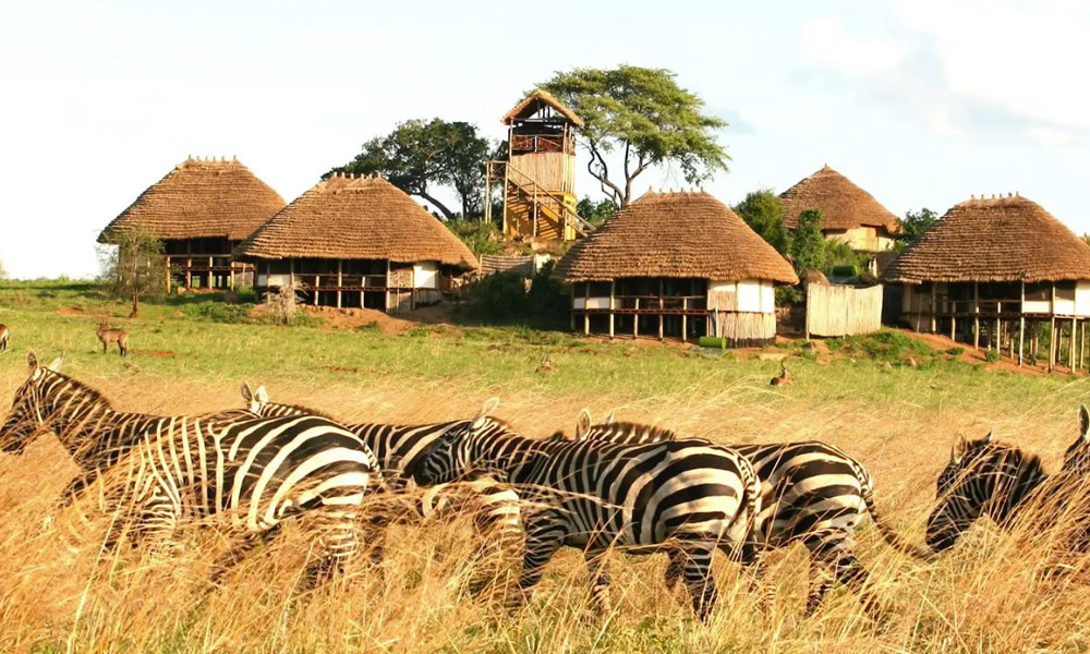 Apoka Safari Lodge