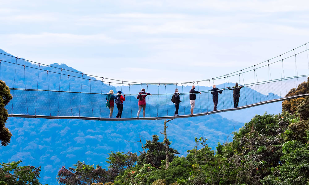 2 Days Rwanda Safari to Nyungwe Forest National Park