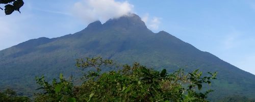 Volcano Mountain Hiking in Rwanda