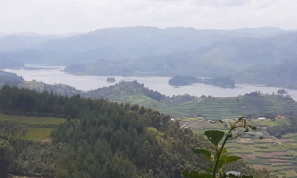 7 Days Uganda Primates and Lake Bunyonyi Tour